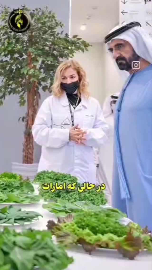  جدید ترین استوری اینستاگرام مختار سائقی