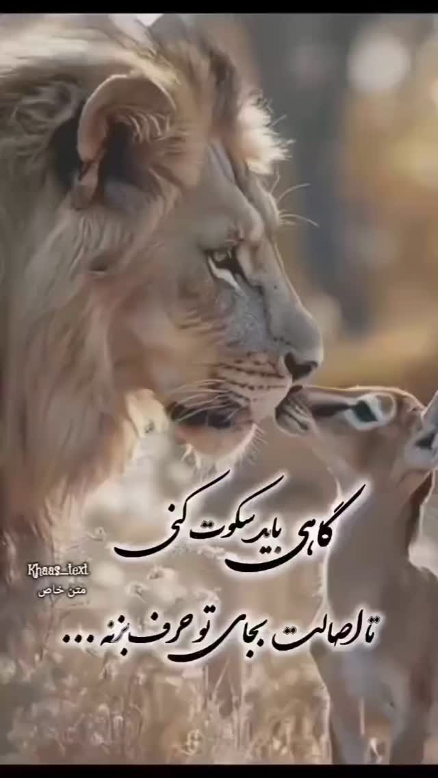  جدید ترین استوری اینستاگرام مختار سائقی