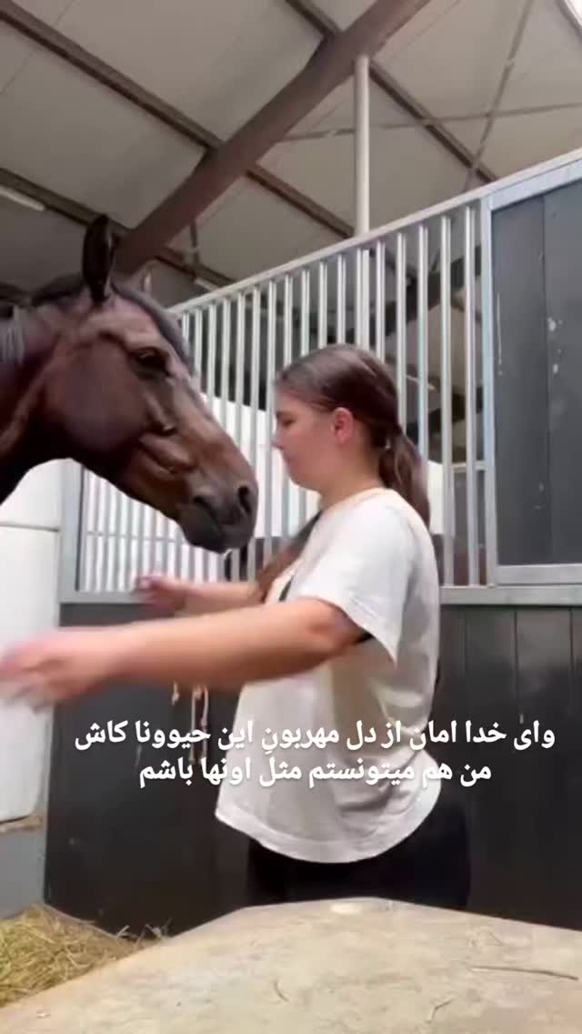  جدید ترین استوری اینستاگرام مختار سائقی
