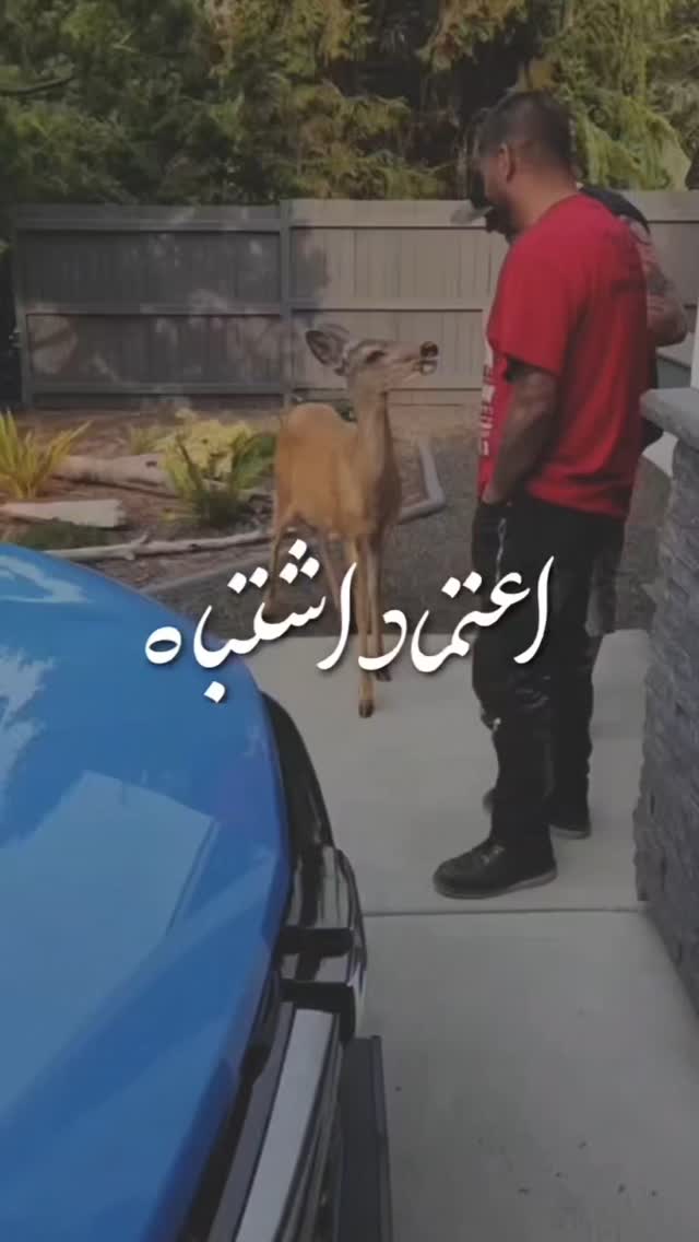  جدید ترین استوری اینستاگرام مختار سائقی