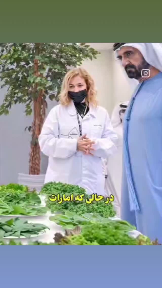  جدید ترین استوری اینستاگرام مختار سائقی