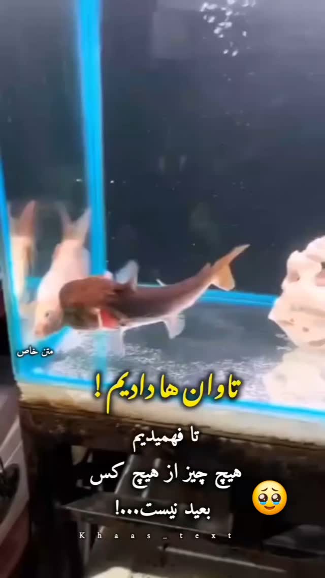  جدید ترین استوری اینستاگرام مختار سائقی