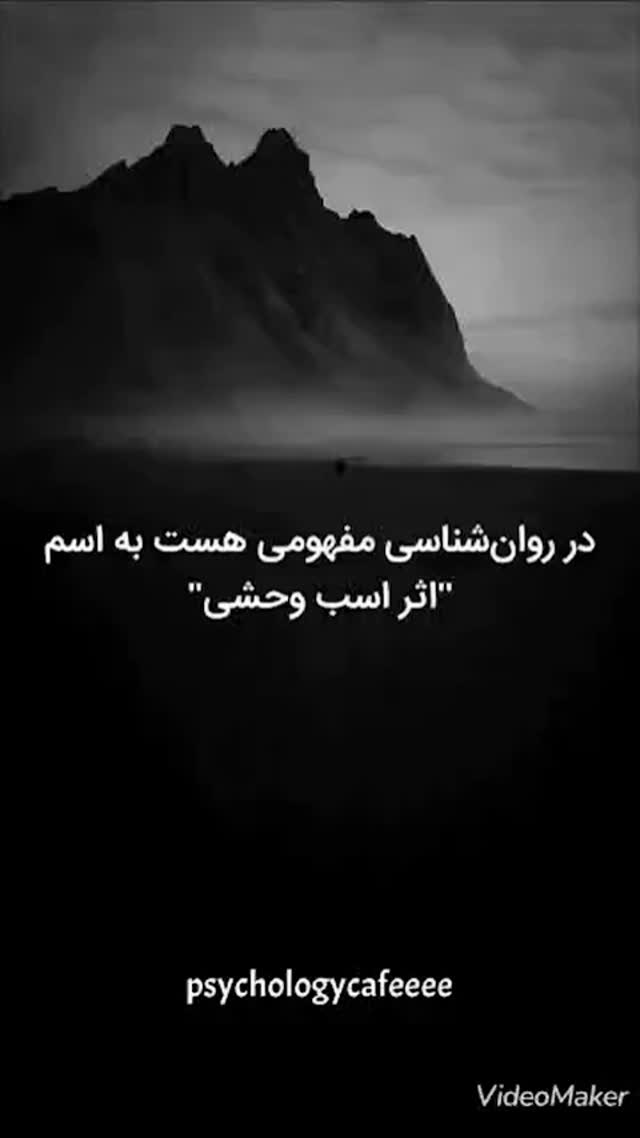  جدید ترین استوری اینستاگرام مختار سائقی