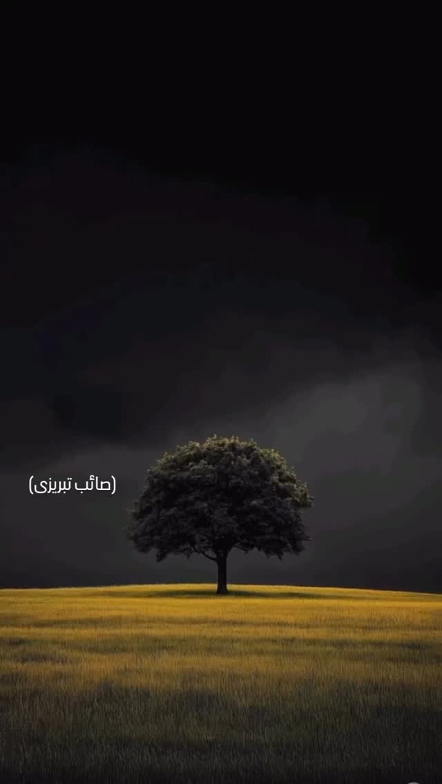  جدید ترین استوری اینستاگرام مختار سائقی