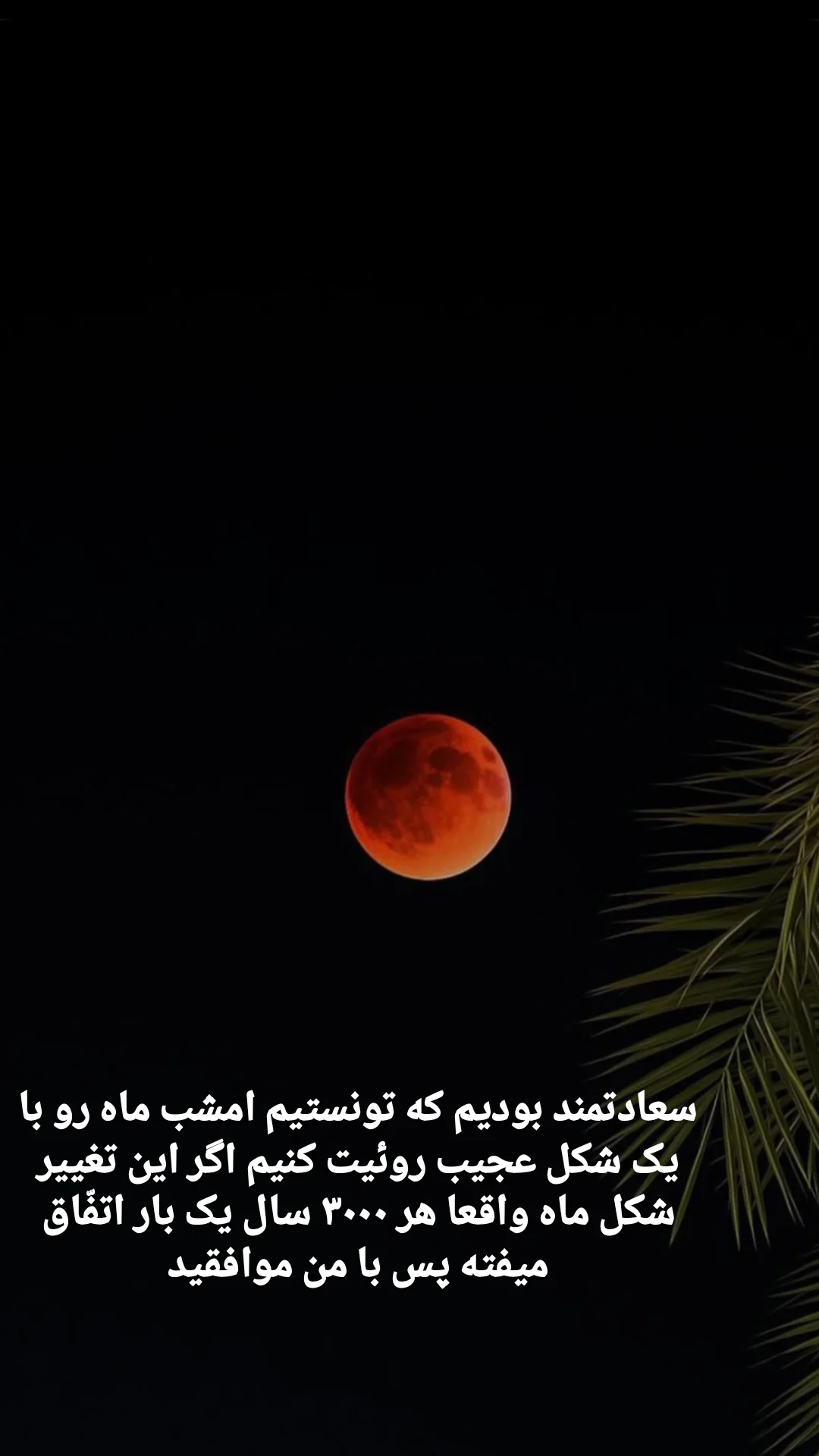  جدید ترین استوری اینستاگرام مختار سائقی