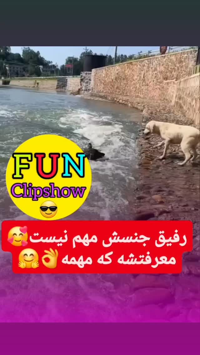  جدید ترین استوری اینستاگرام مختار سائقی