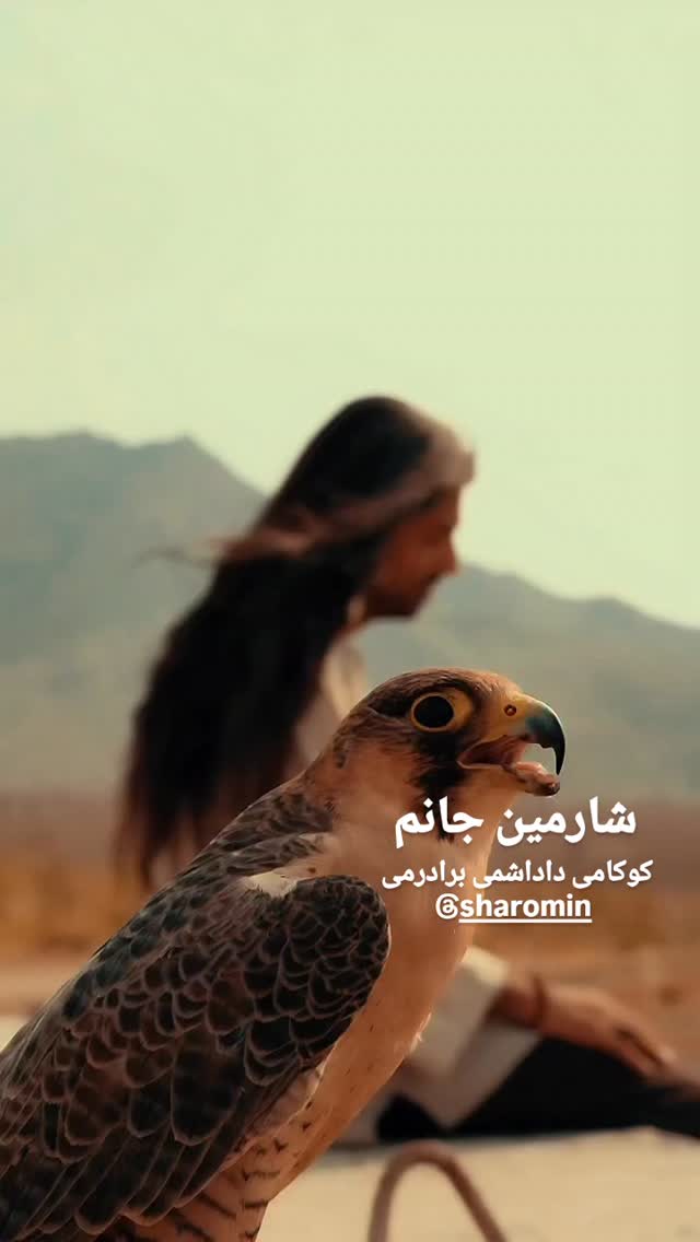  جدید ترین استوری اینستاگرام مختار سائقی