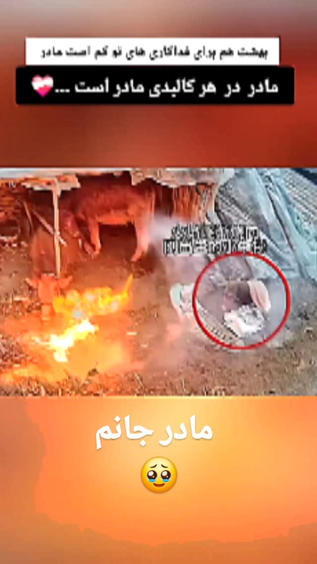  جدید ترین استوری اینستاگرام مختار سائقی