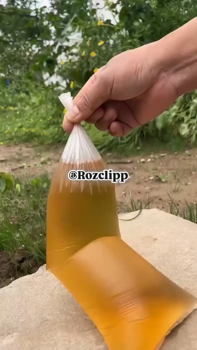  جدید ترین استوری اینستاگرام مختار سائقی