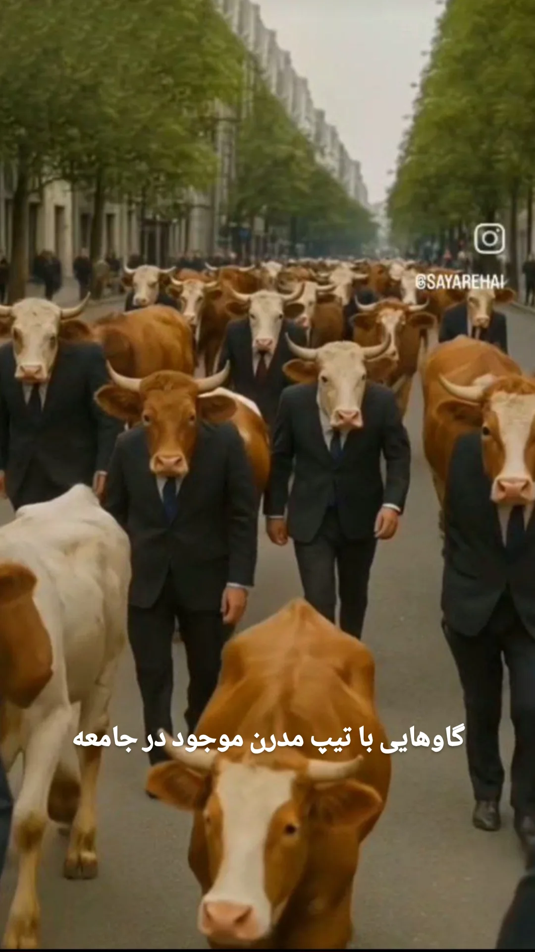  جدید ترین استوری اینستاگرام مختار سائقی