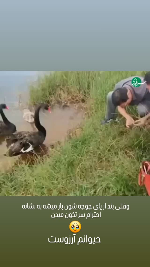  جدید ترین استوری اینستاگرام مختار سائقی