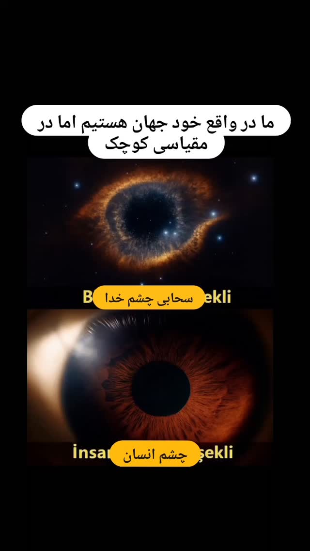  جدید ترین استوری اینستاگرام مختار سائقی