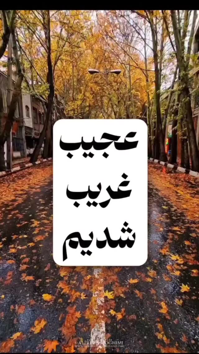  جدید ترین استوری اینستاگرام مختار سائقی