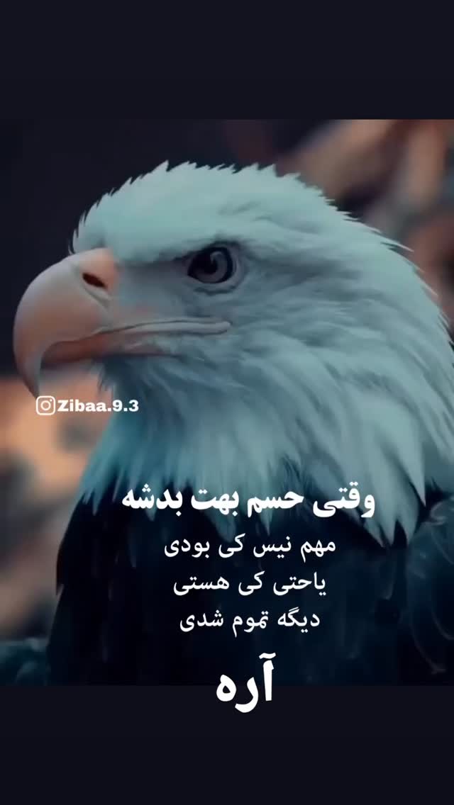  جدید ترین استوری اینستاگرام مختار سائقی