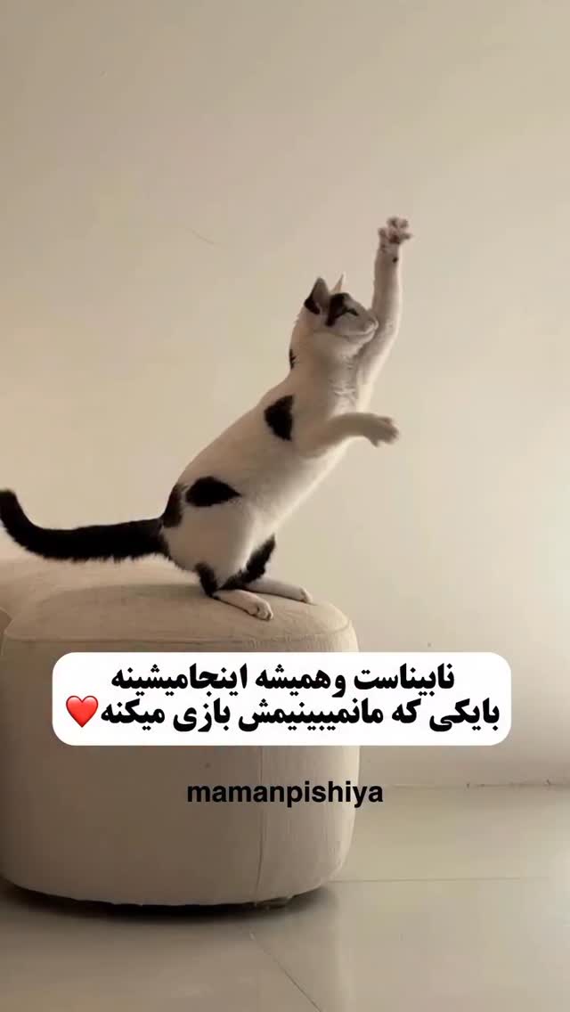  جدید ترین استوری اینستاگرام مختار سائقی