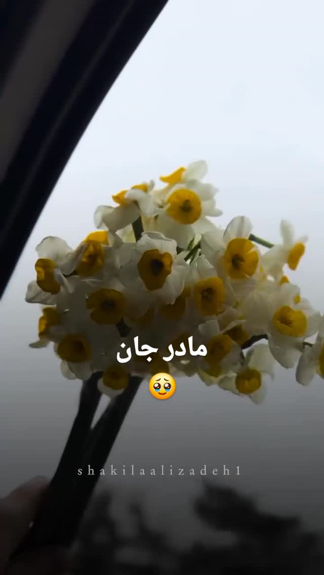  جدید ترین استوری اینستاگرام مختار سائقی
