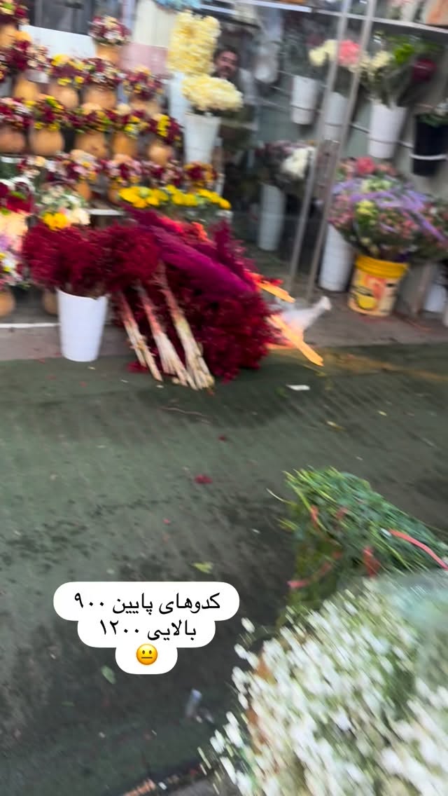  جدید ترین استوری اینستاگرام مامی آزاده