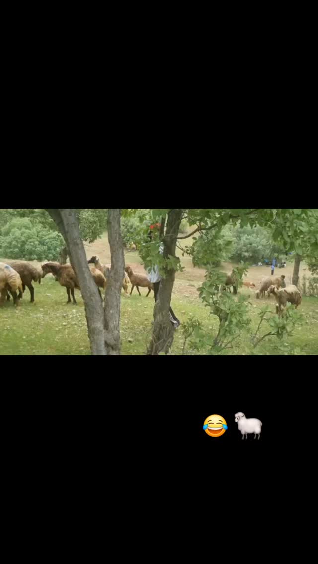  جدید ترین استوری اینستاگرام مونا افخمی