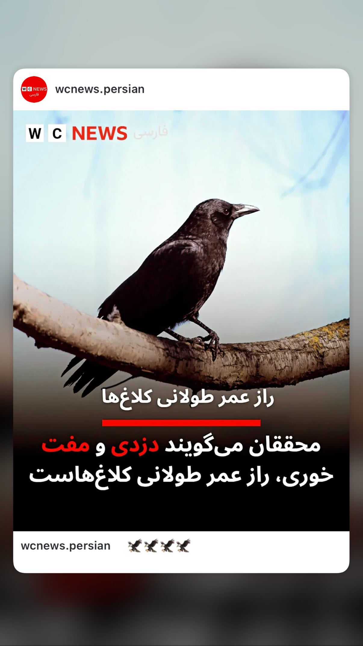  جدید ترین استوری اینستاگرام مونا بانکی پور