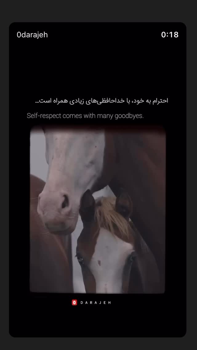  جدید ترین استوری اینستاگرام مونا بانکی پور