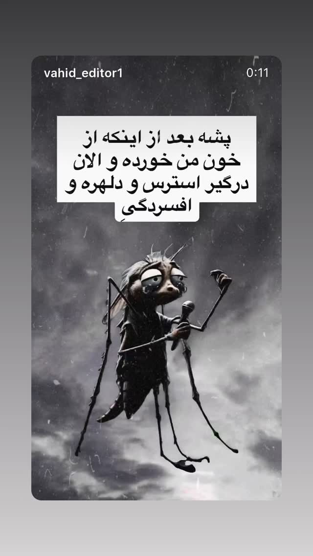  جدید ترین استوری اینستاگرام مونا بانکی پور
