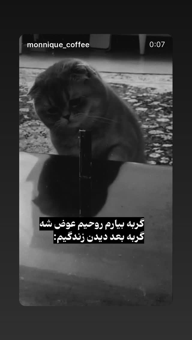  جدید ترین استوری اینستاگرام مونا بانکی پور