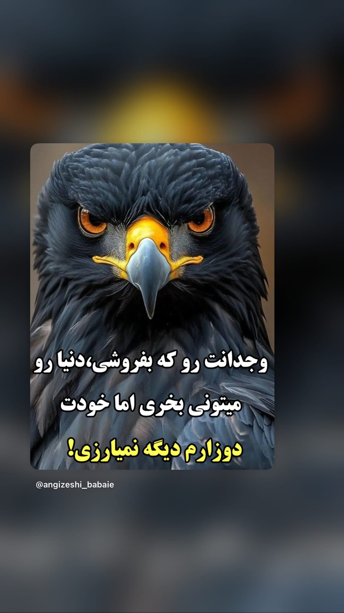  جدید ترین استوری اینستاگرام مونا بانکی پور