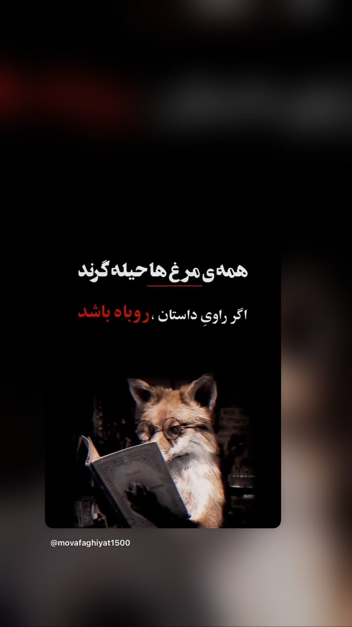  جدید ترین استوری اینستاگرام مونا بانکی پور