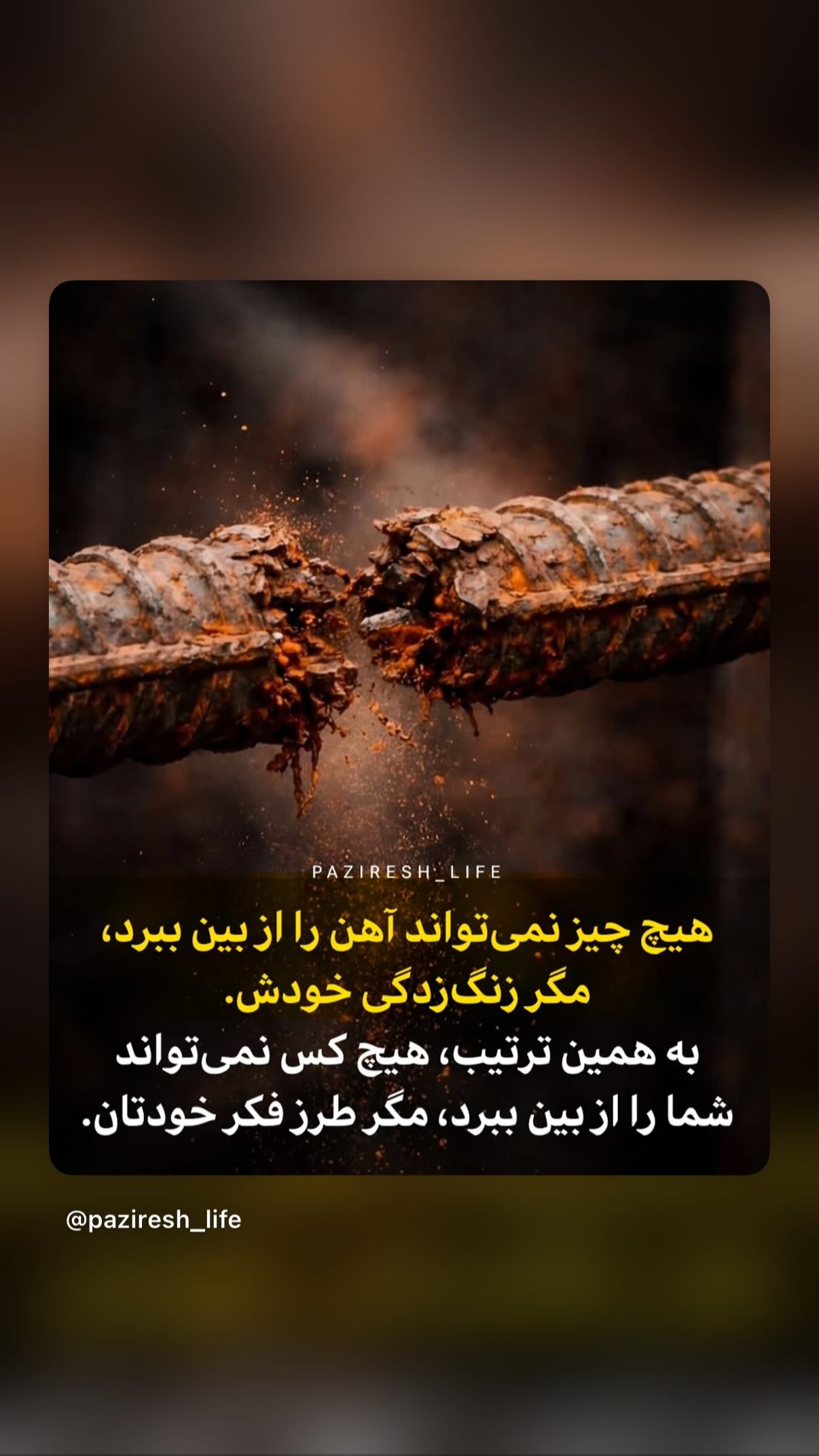 جدید ترین استوری اینستاگرام مونا بانکی پور