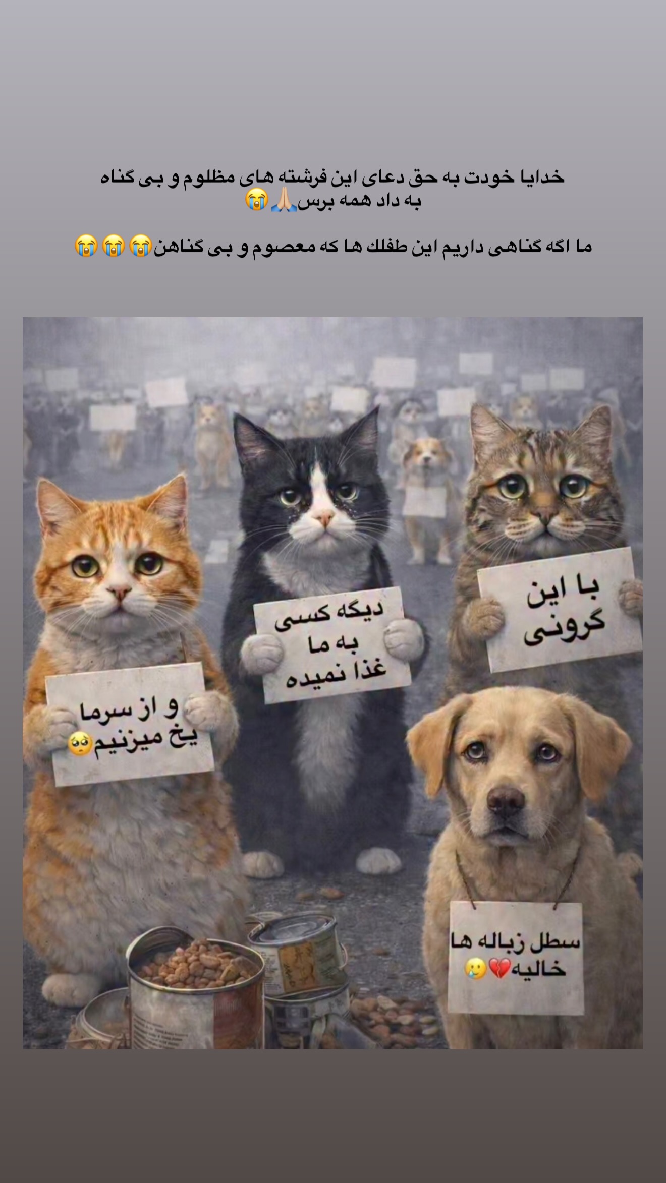  جدید ترین استوری اینستاگرام مونا باقر قلیچی