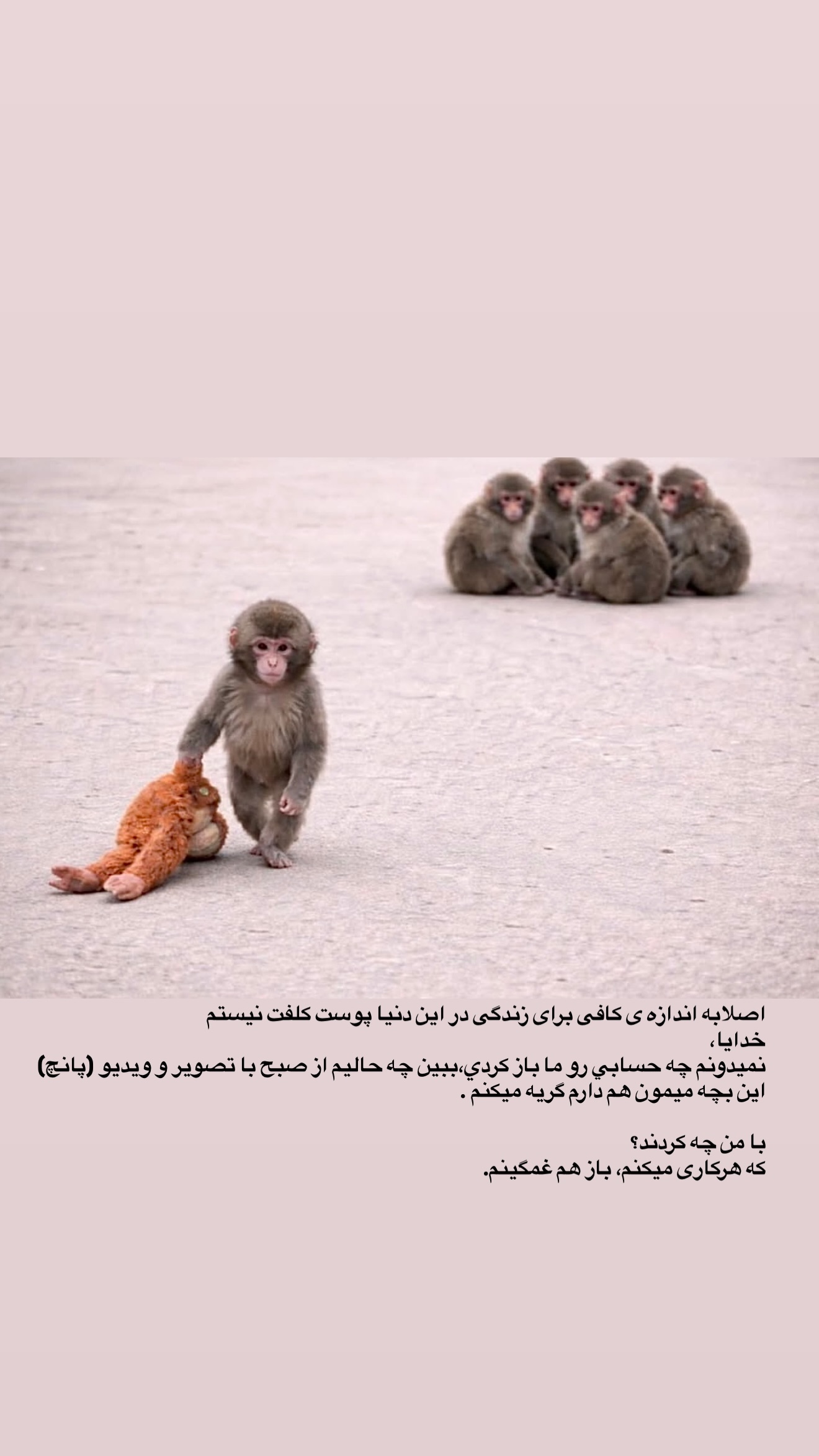  جدید ترین استوری اینستاگرام مونا باقر قلیچی