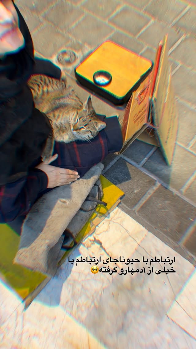  جدید ترین استوری اینستاگرام مونا باقر قلیچی