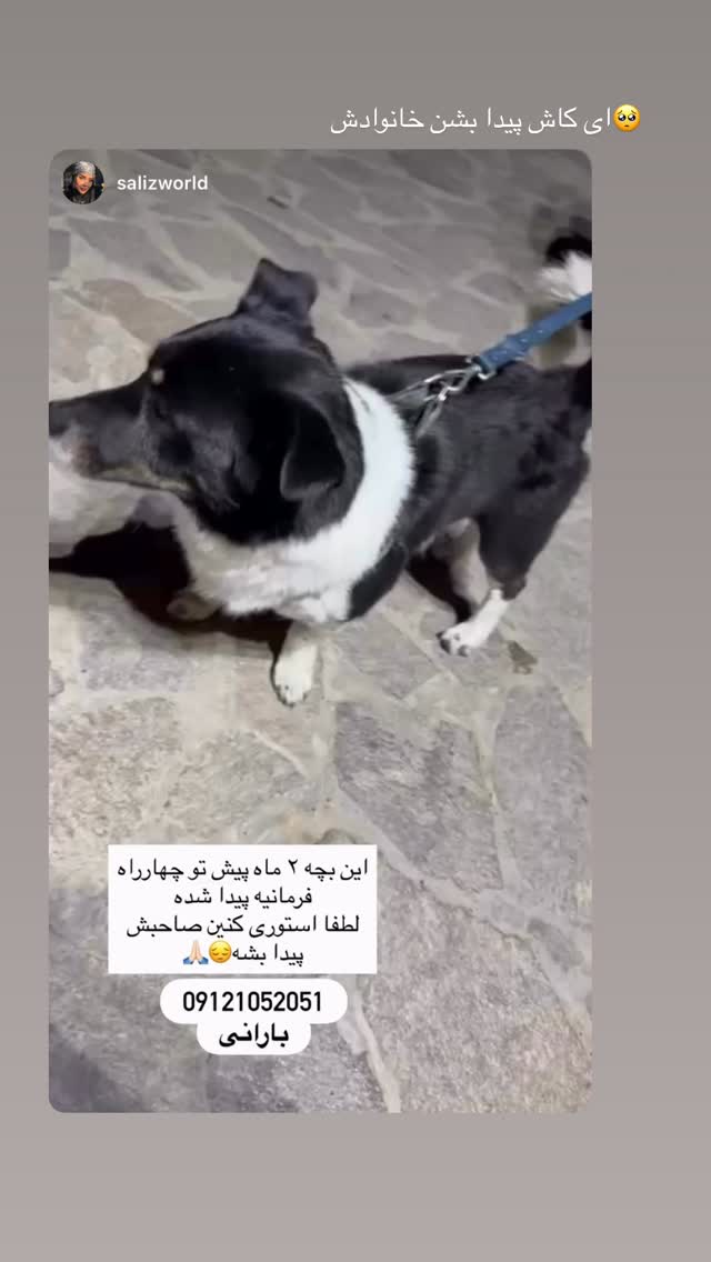  جدید ترین استوری اینستاگرام مونا باقر قلیچی