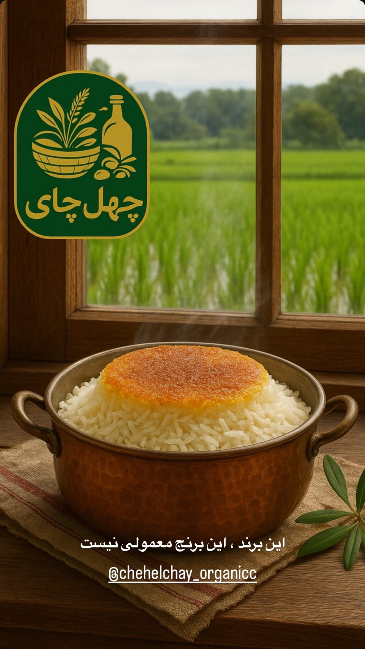  جدید ترین استوری اینستاگرام مونا کرمی