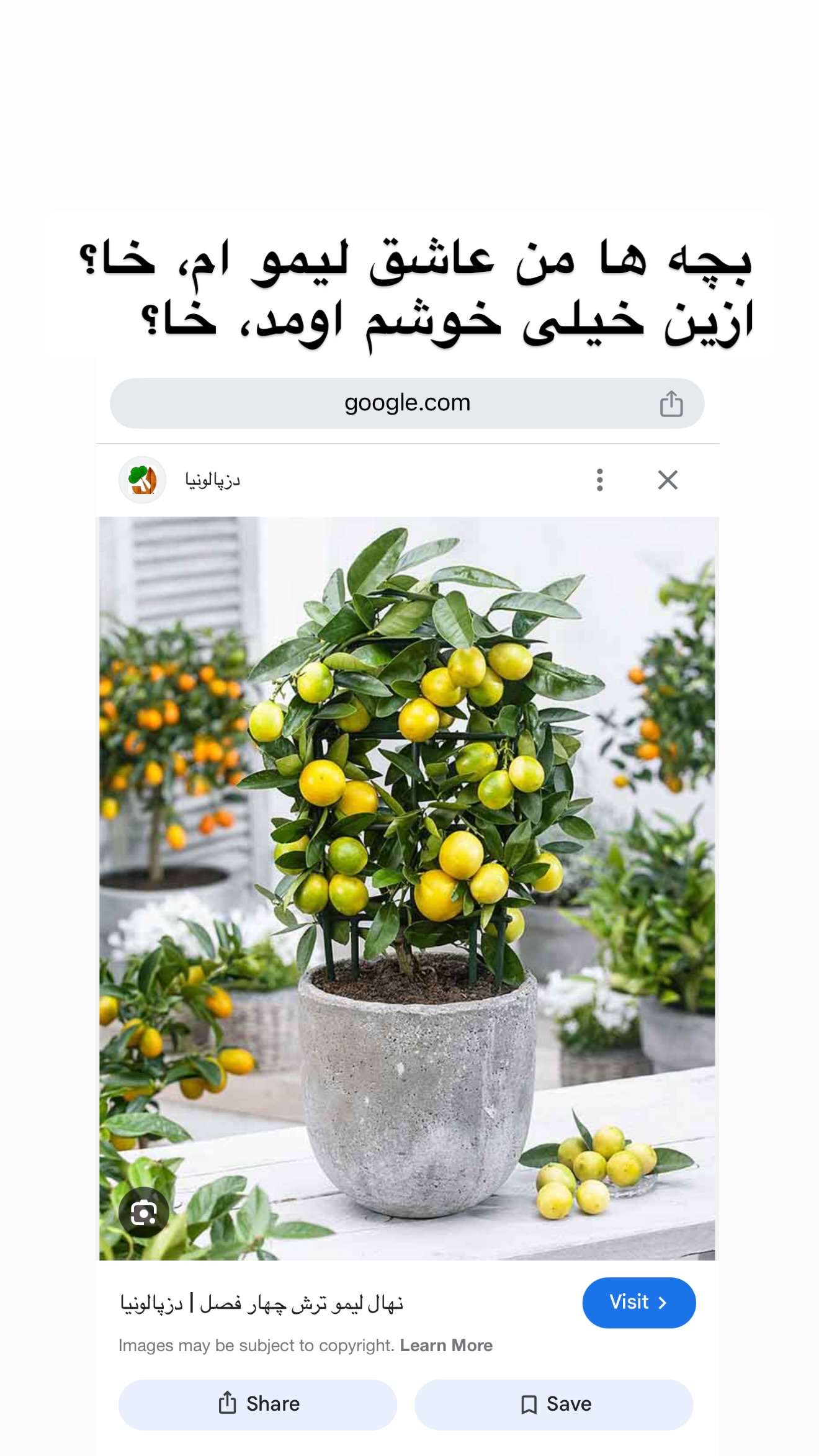  جدید ترین استوری اینستاگرام مونا