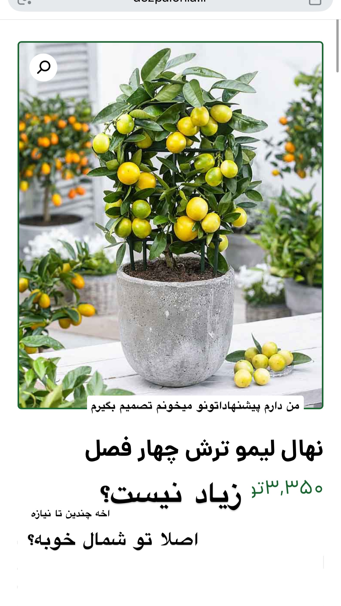  جدید ترین استوری اینستاگرام مونا