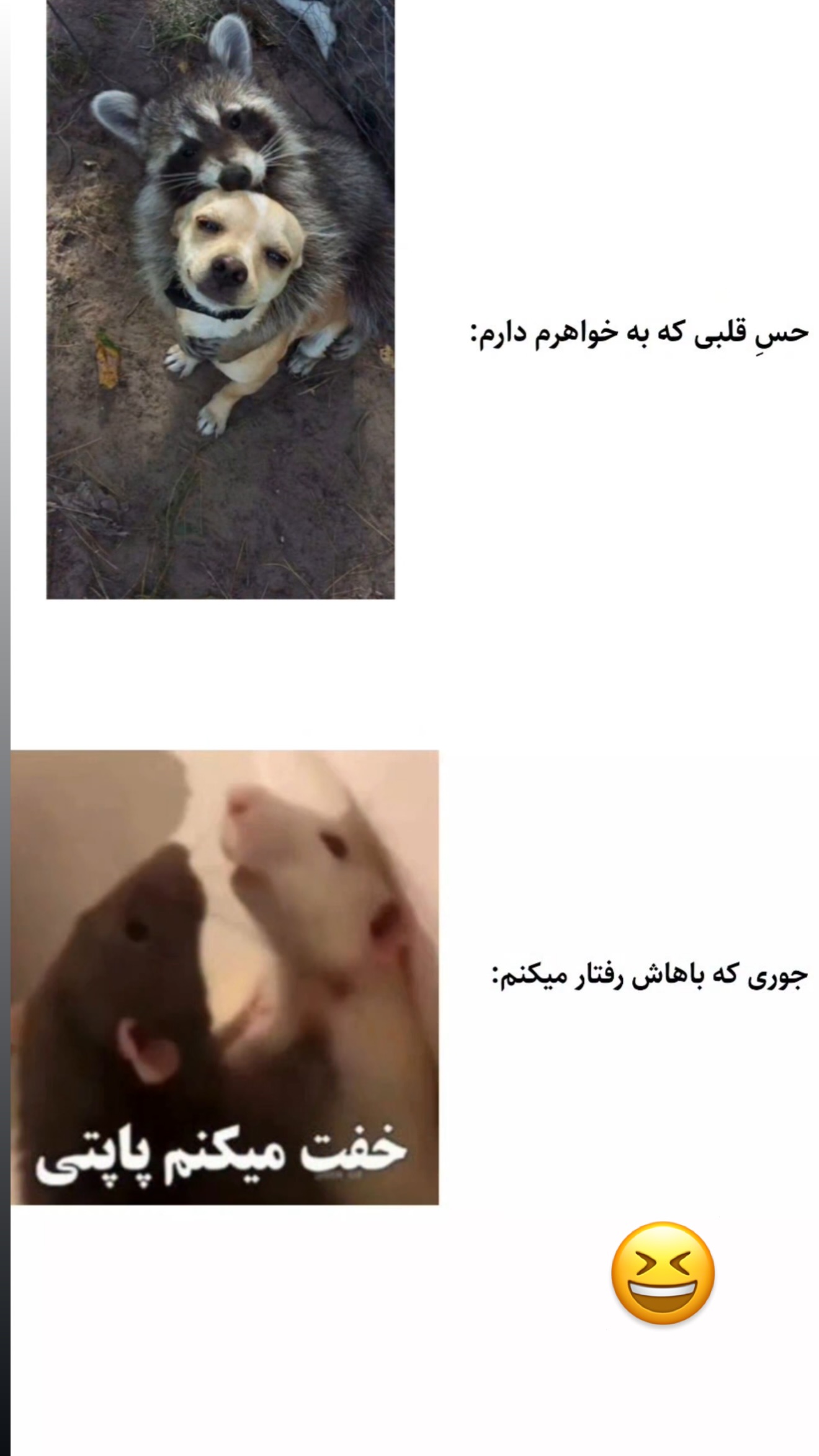  جدید ترین استوری اینستاگرام مونا