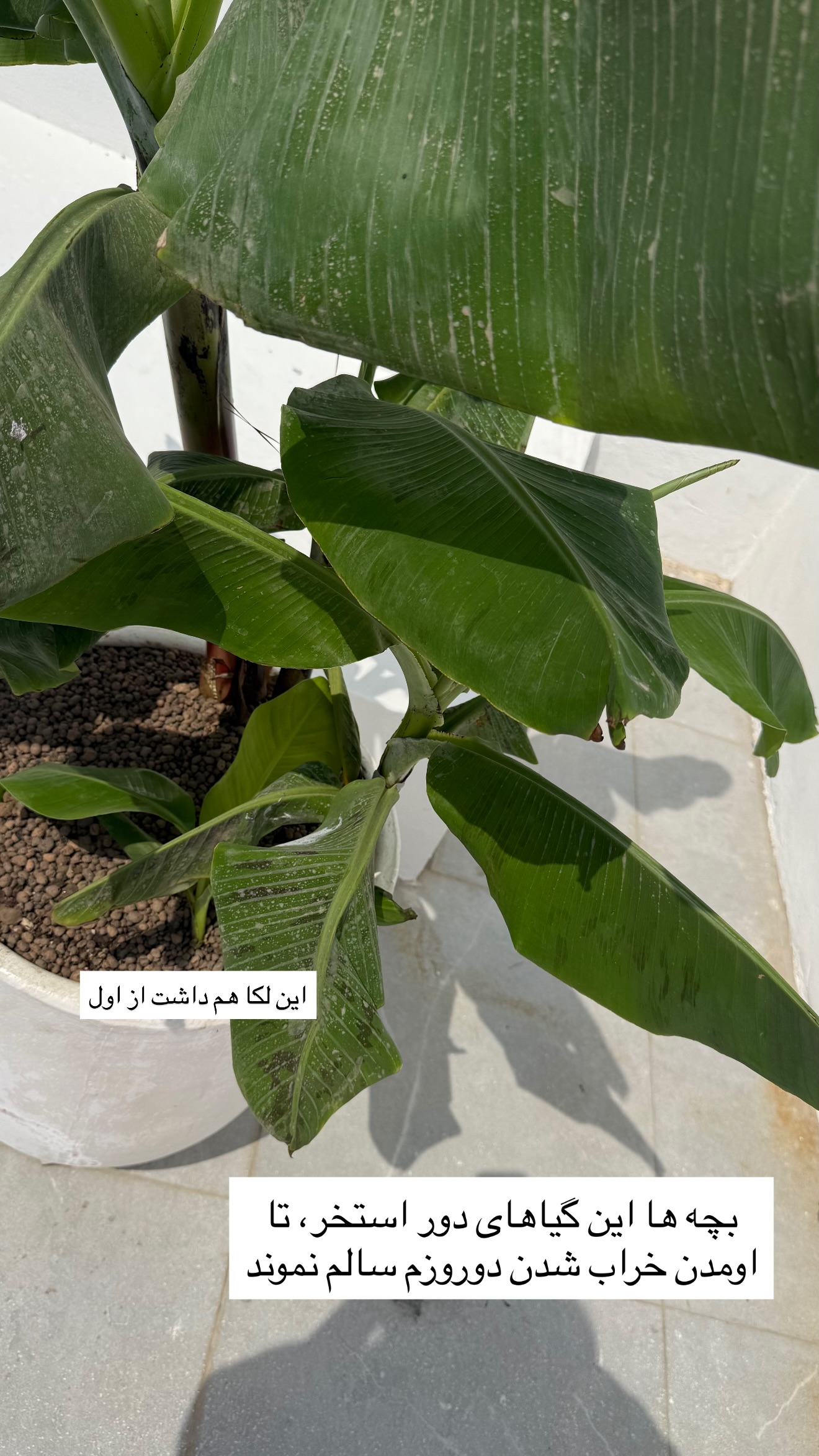  جدید ترین استوری اینستاگرام مونا