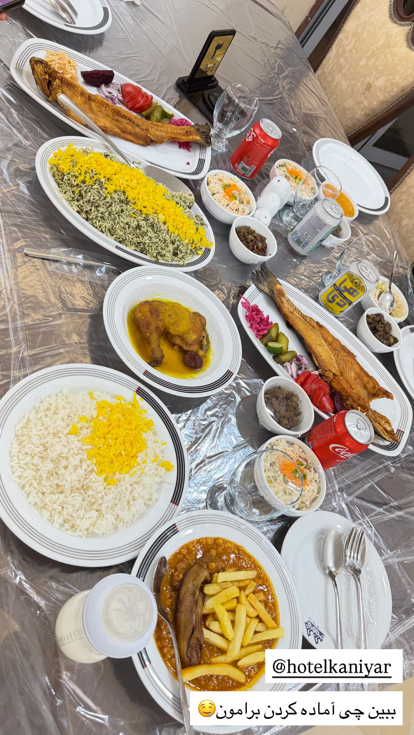  جدید ترین استوری اینستاگرام مونا دیلم کتولی
