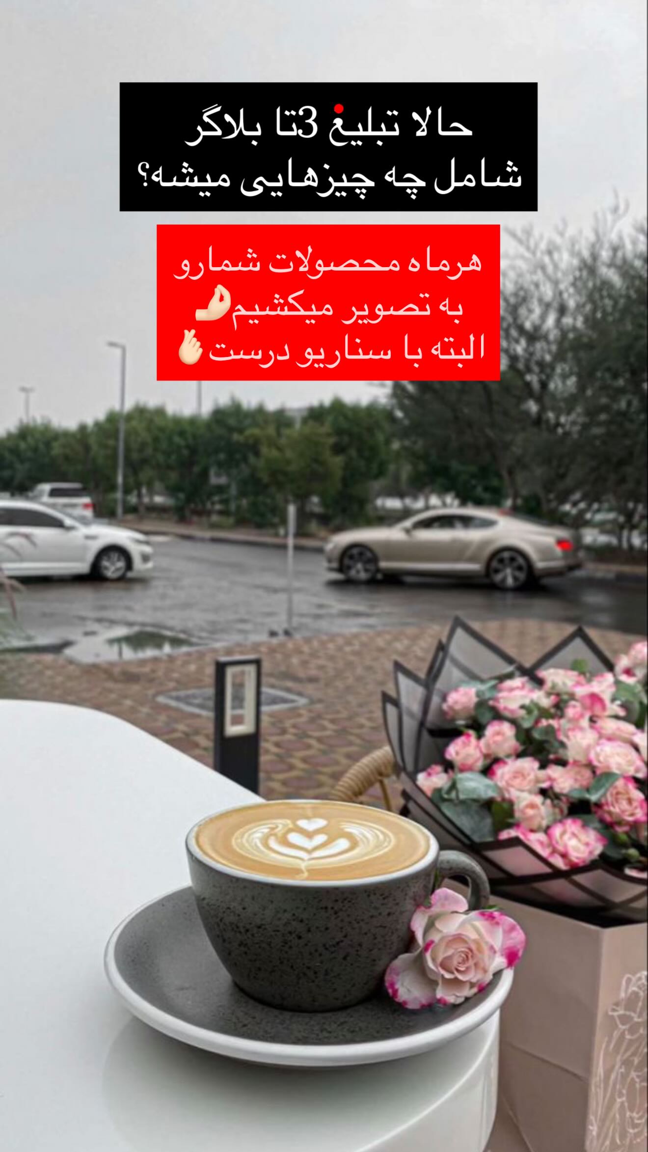  جدید ترین استوری اینستاگرام مونا دیلم کتولی