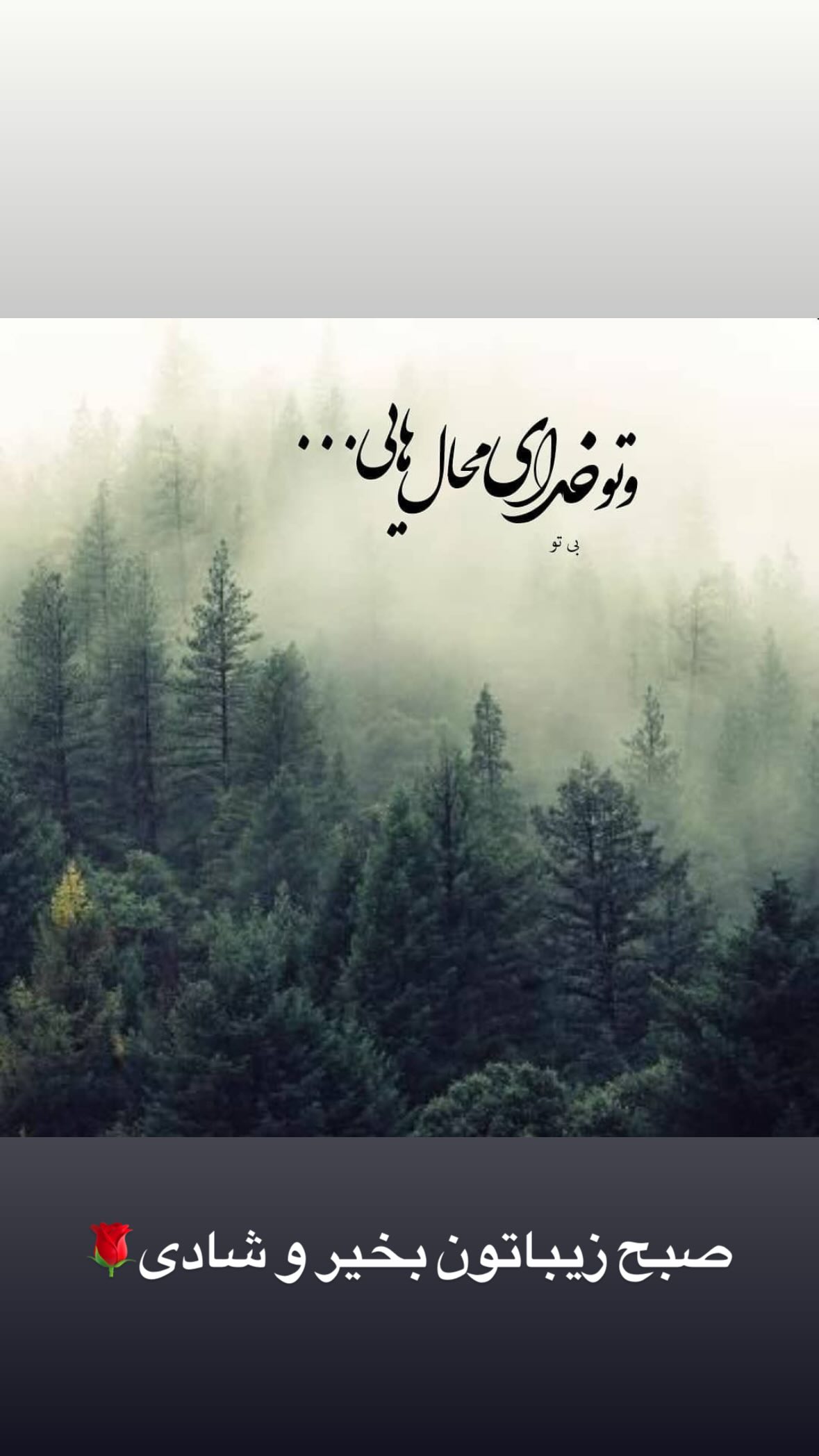  جدید ترین استوری اینستاگرام مرتضی اشرفی