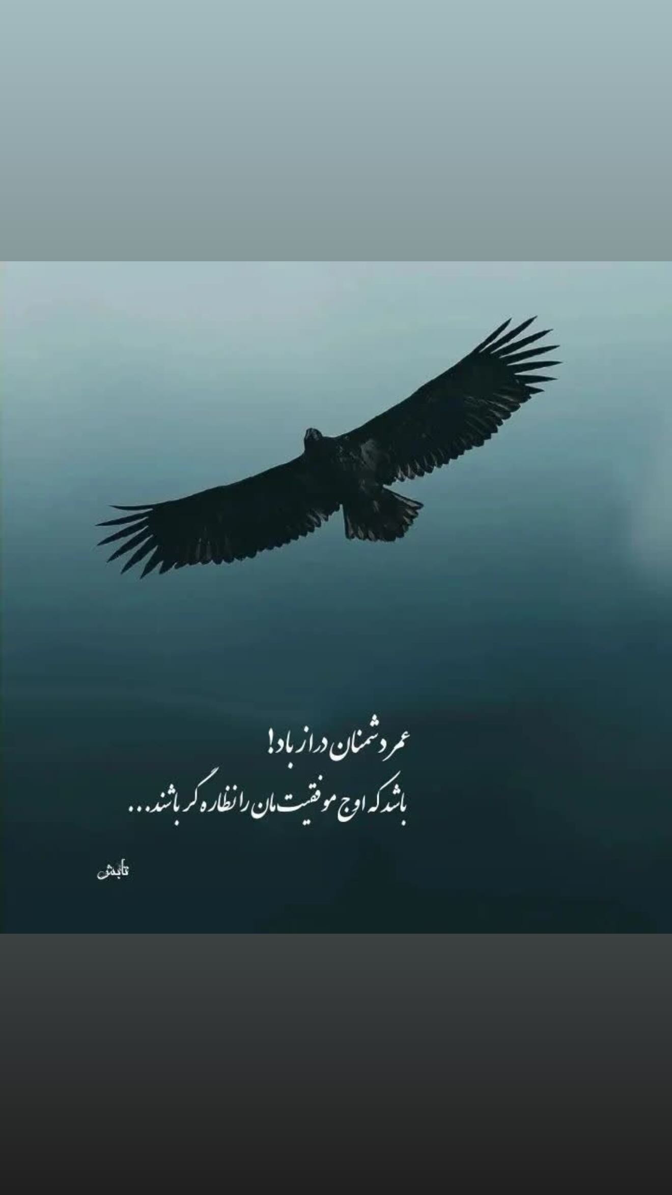  جدید ترین استوری اینستاگرام مرتضی اشرفی