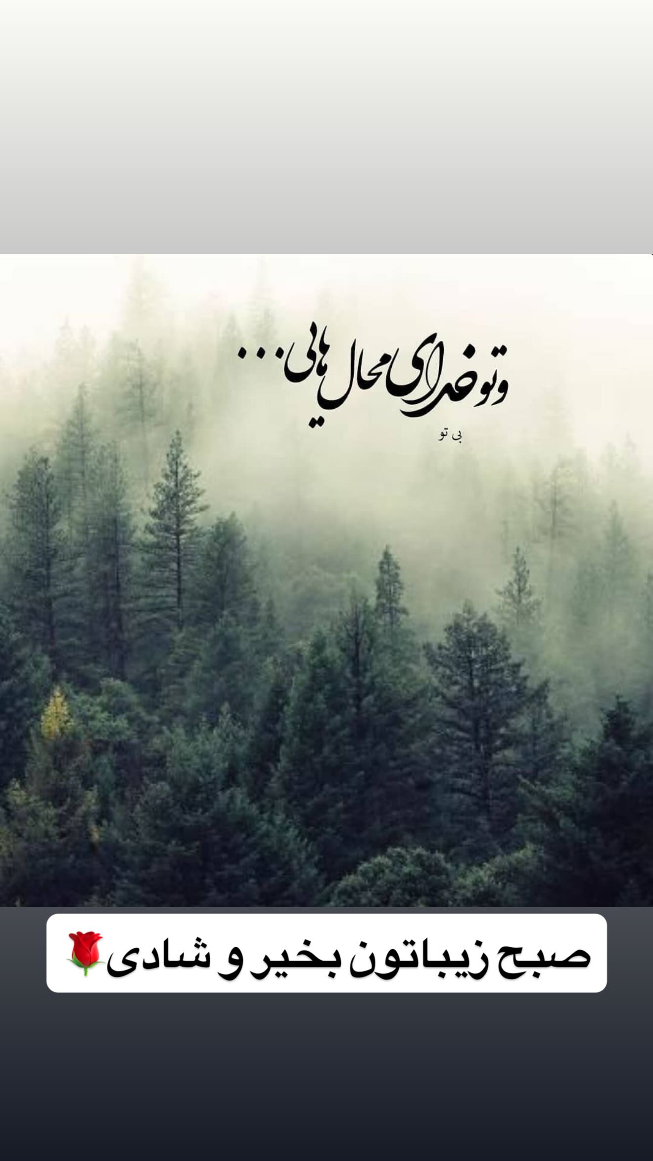  جدید ترین استوری اینستاگرام مرتضی اشرفی