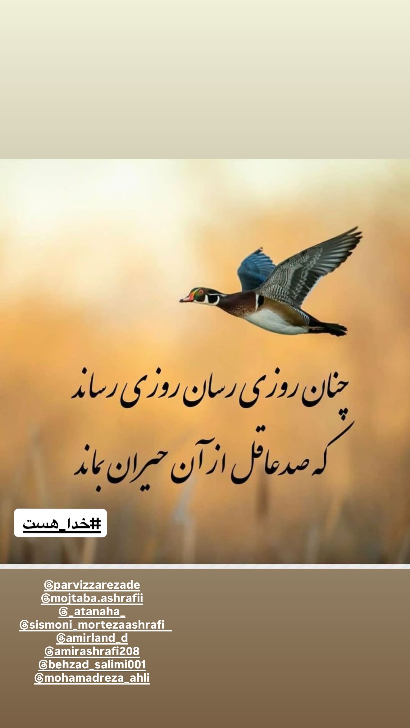  جدید ترین استوری اینستاگرام مرتضی اشرفی
