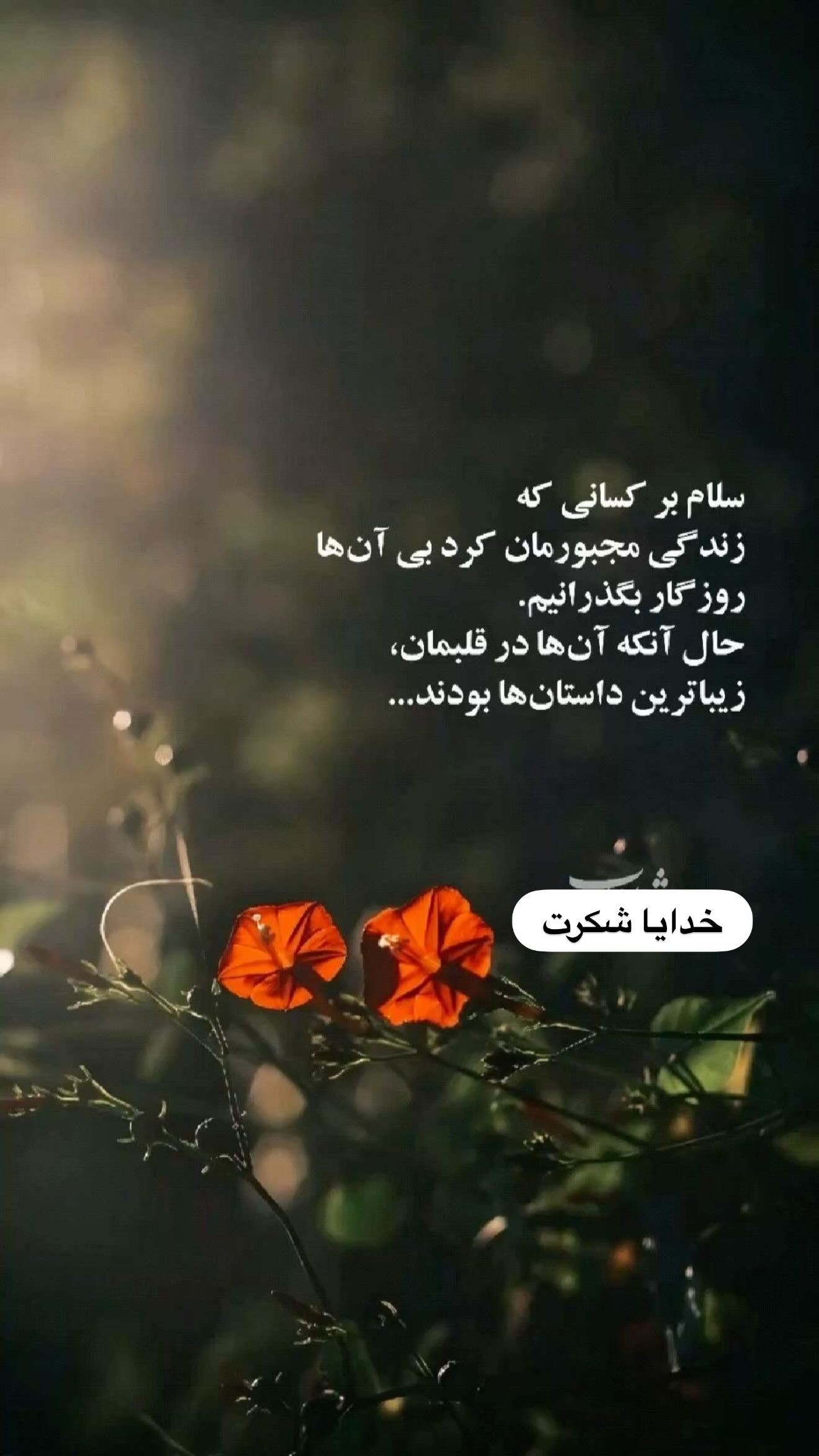  جدید ترین استوری اینستاگرام مرتضی اشرفی