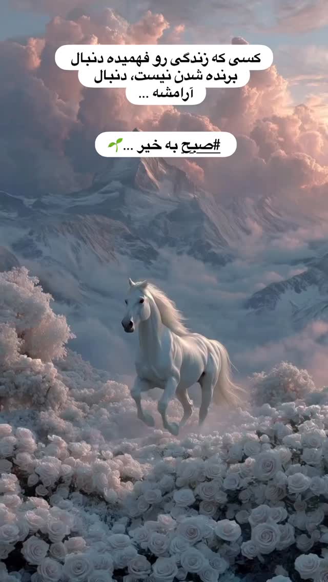  جدید ترین استوری اینستاگرام مرتضی اشرفی