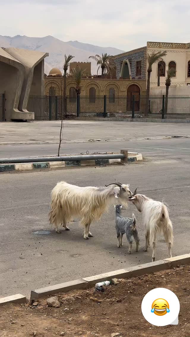  جدید ترین استوری اینستاگرام مرتضي عالم