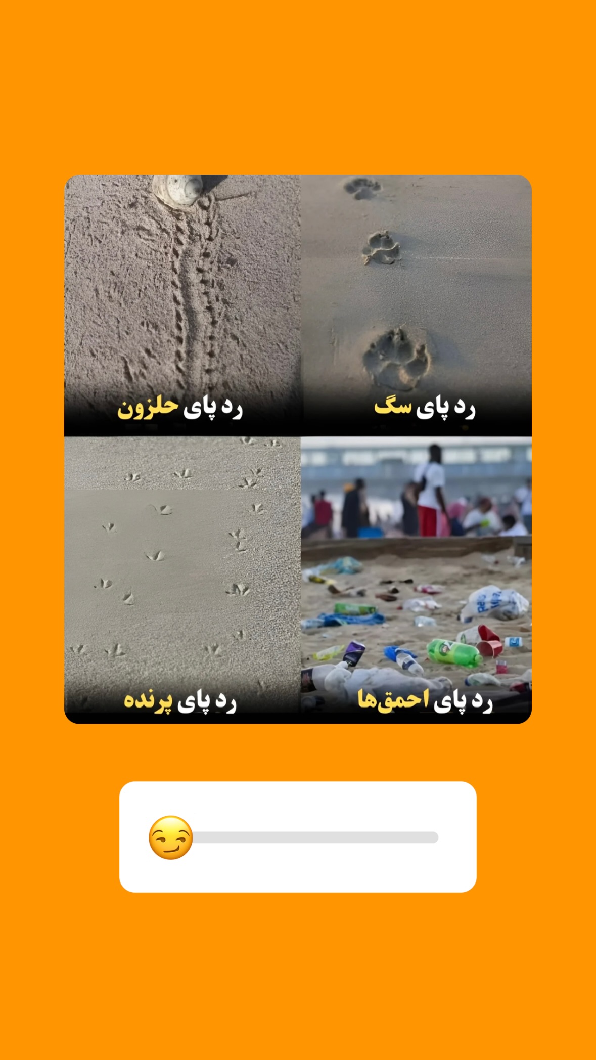  جدید ترین استوری اینستاگرام مرتضي عالم