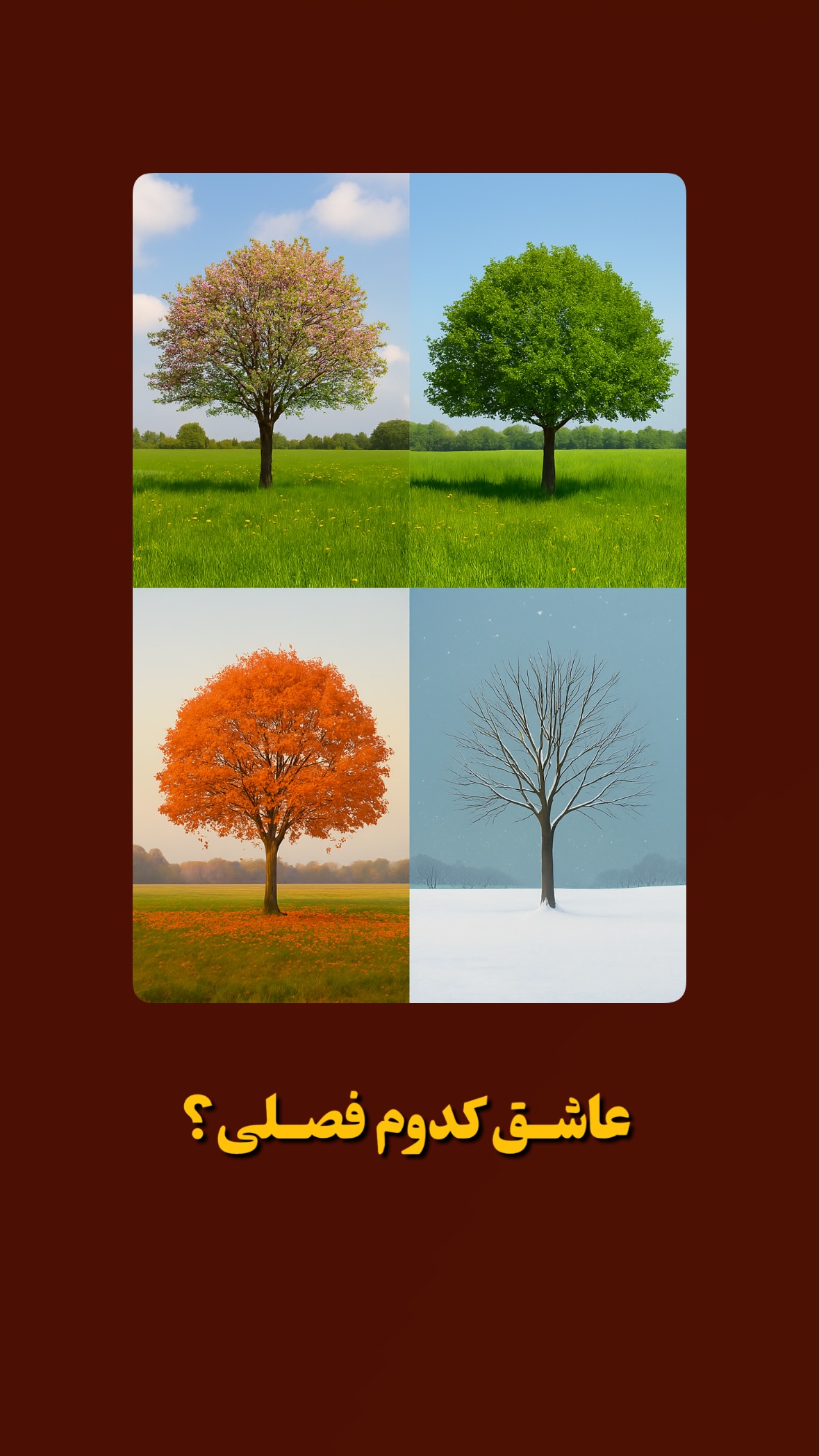  جدید ترین استوری اینستاگرام مرتضي عالم