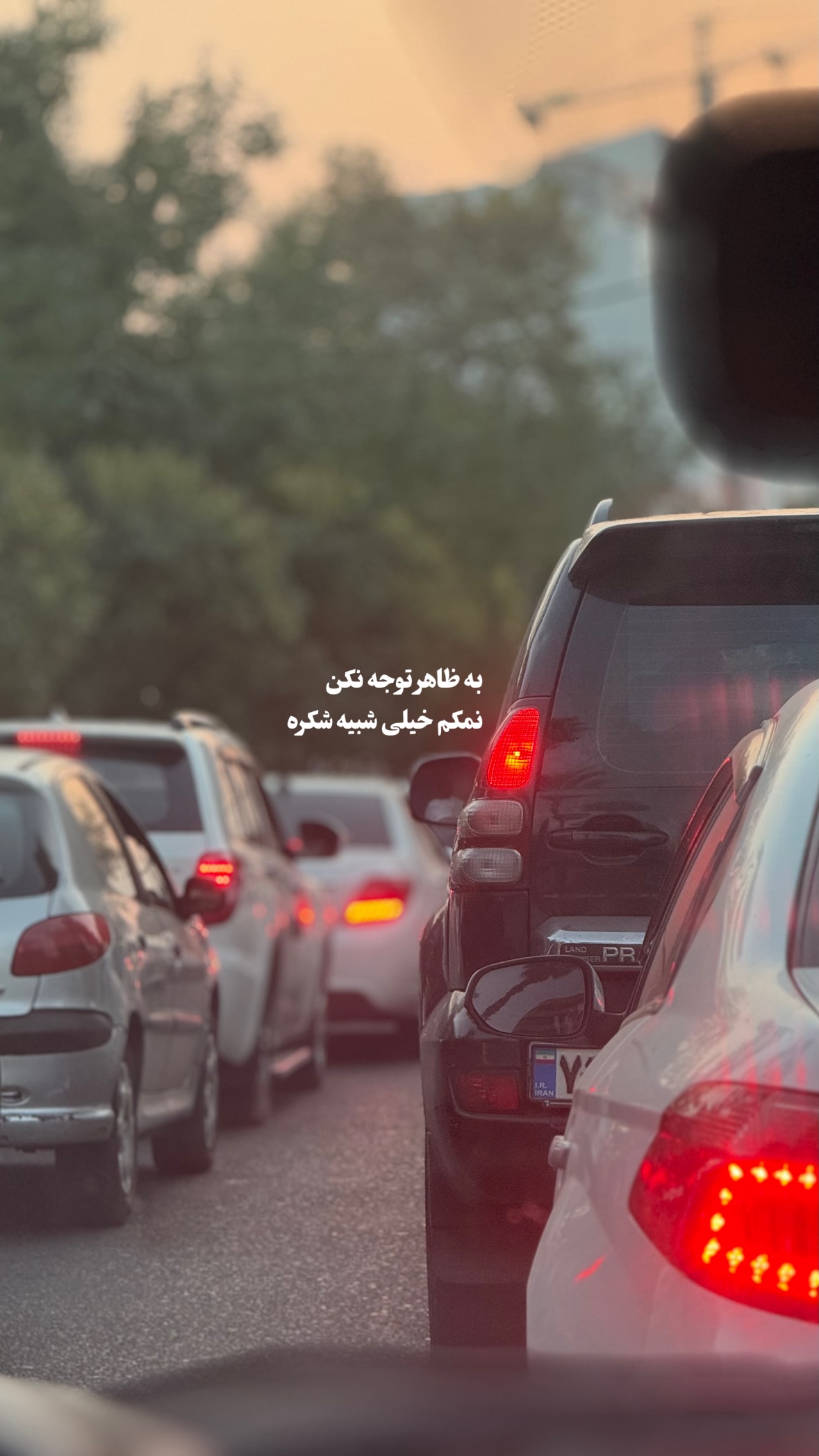  جدید ترین استوری اینستاگرام مرتضي عالم